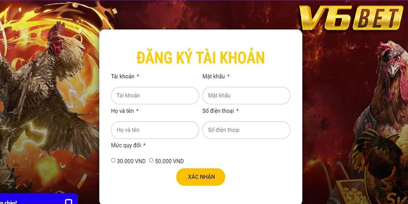 Những điều cần lưu ý khi tham gia đá gà V6bet